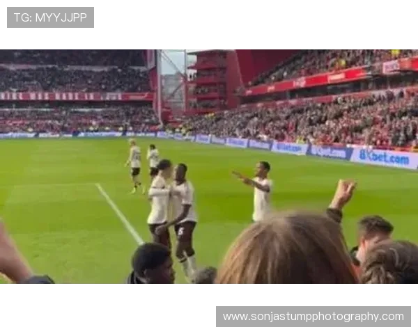 东亚杯：激情四溢的球迷氛围提升赛事竞争力与观赏性