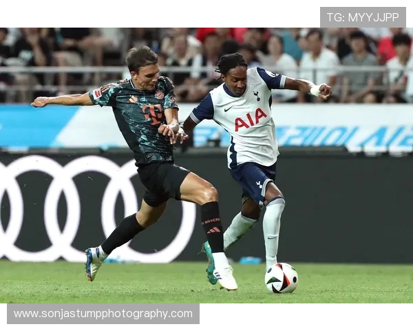 帕利尼亚在葡萄牙国家队的主力后腰地位解析